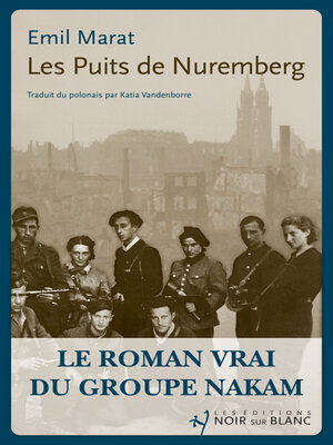 cover image of Les puits de Nuremberg